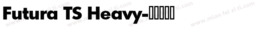 Futura TS Heavy字体转换